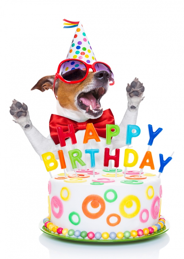 dog-cake-happy-birthday-postcard-greeting-card-send-online-2637_57